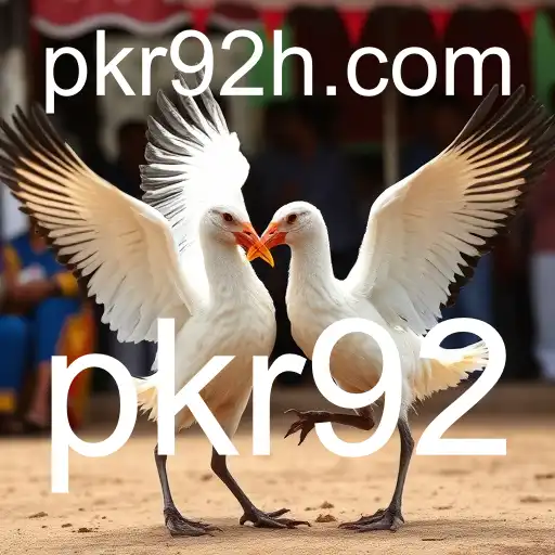 VIP Service pkr92 - 24/7 Support and Exclusive Benefits